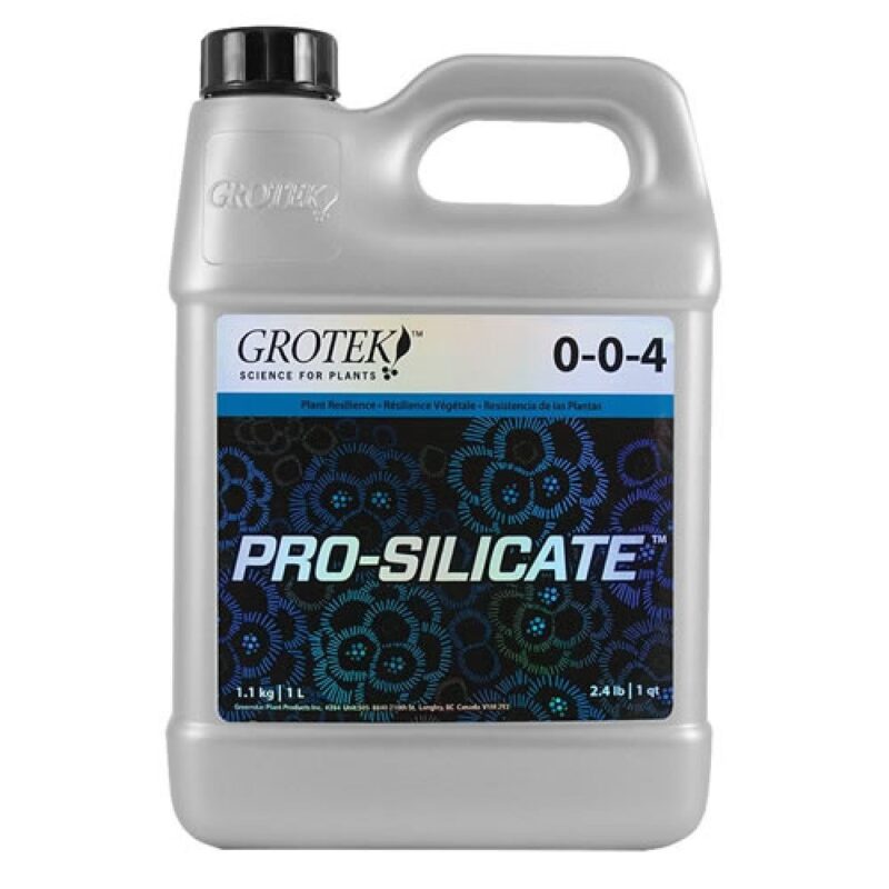 Prosilicate