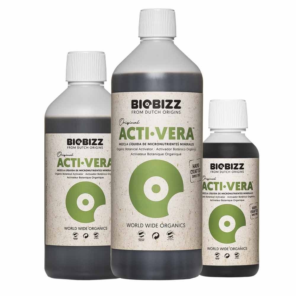 activera - Imagen 2