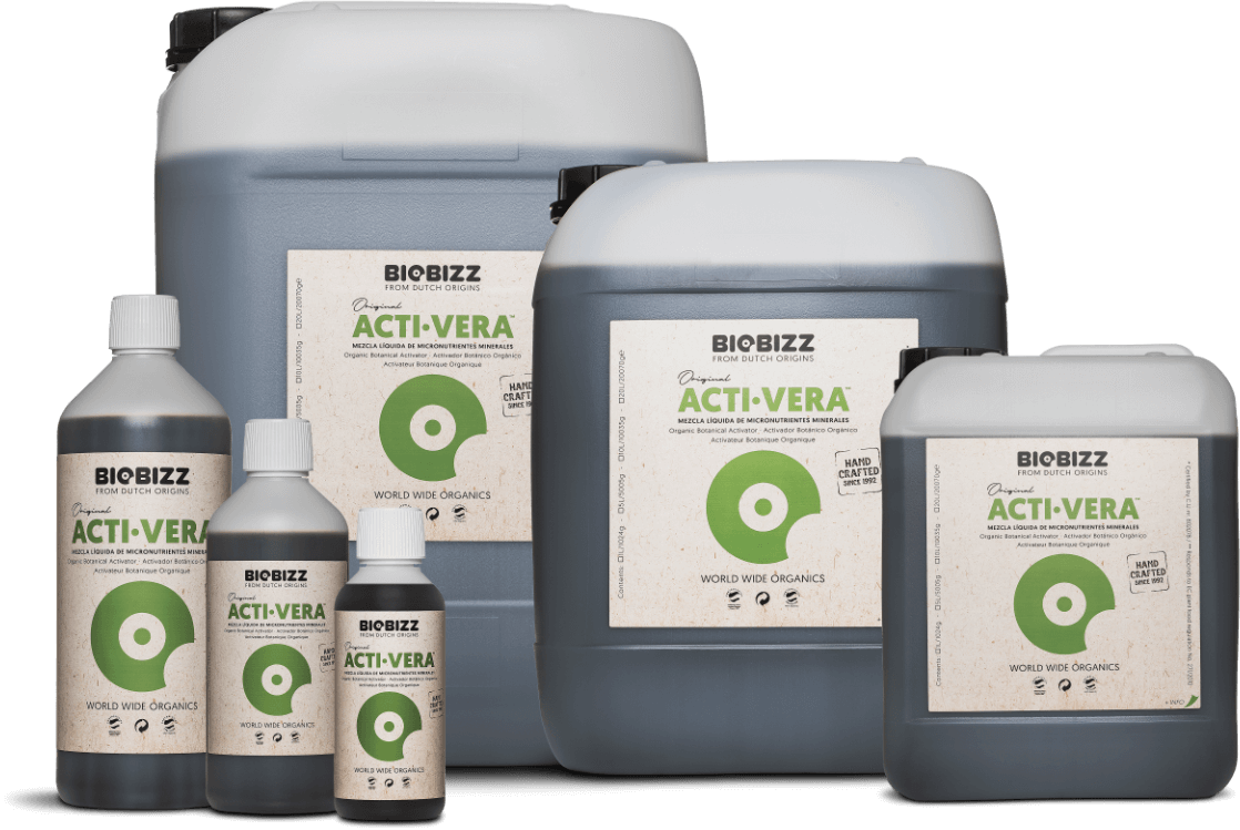 activera - Imagen 3