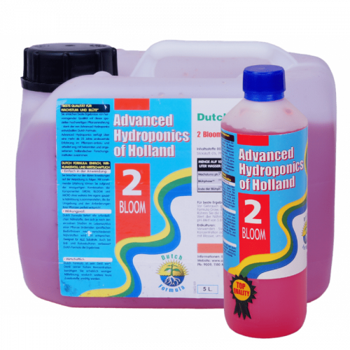 Dutch formula 2 bloom