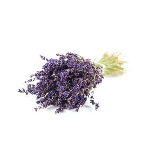 Lavanda