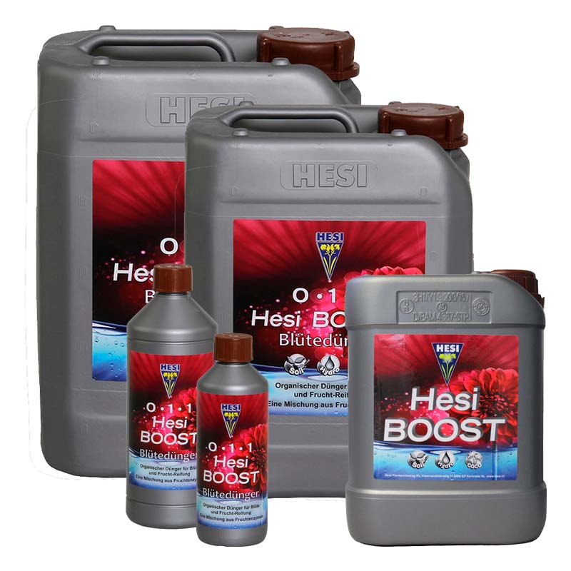 Hesi Boost