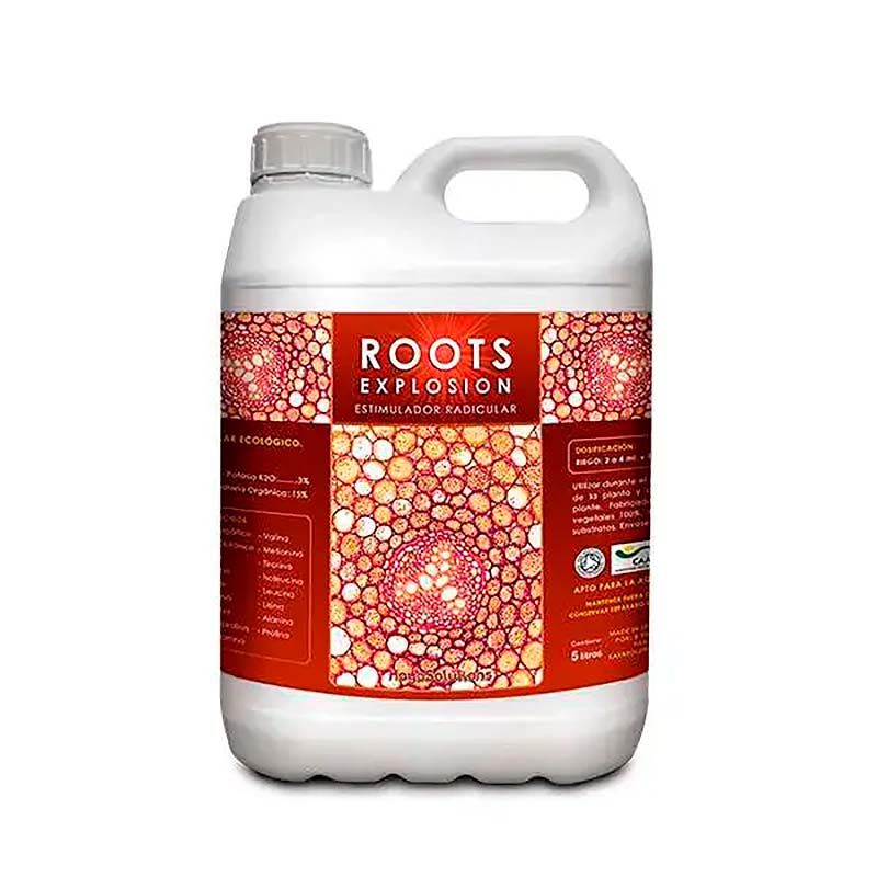 Roots Explosion - Imagen 2